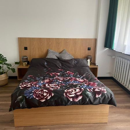 Apartamenty Nadrzeczna 14 Карпач Екстериор снимка