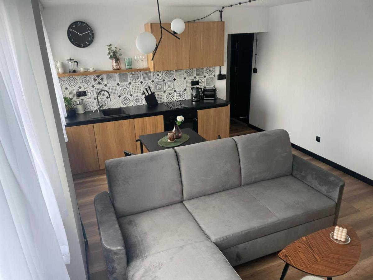 Apartamenty Nadrzeczna 14 Карпач Екстериор снимка