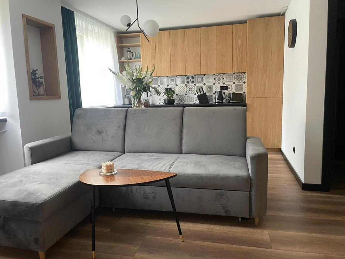 Apartamenty Nadrzeczna 14 Карпач Екстериор снимка